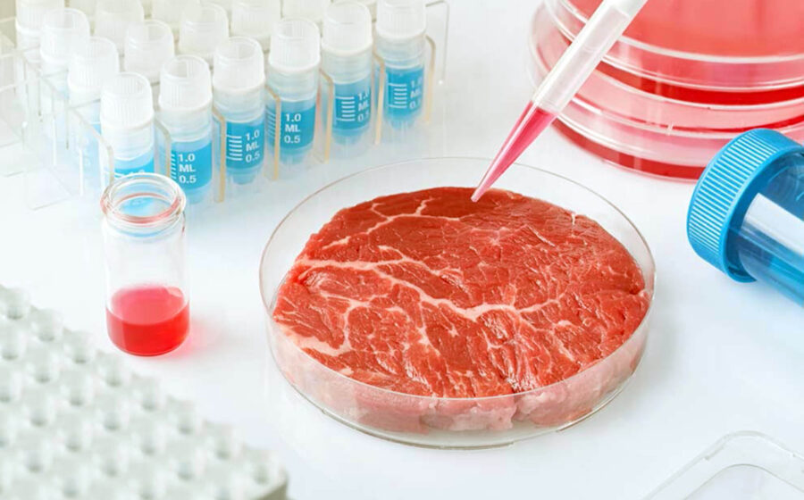 Biorreator com carne cultivada ao lado de ração pet, sushi e barra de chocolate