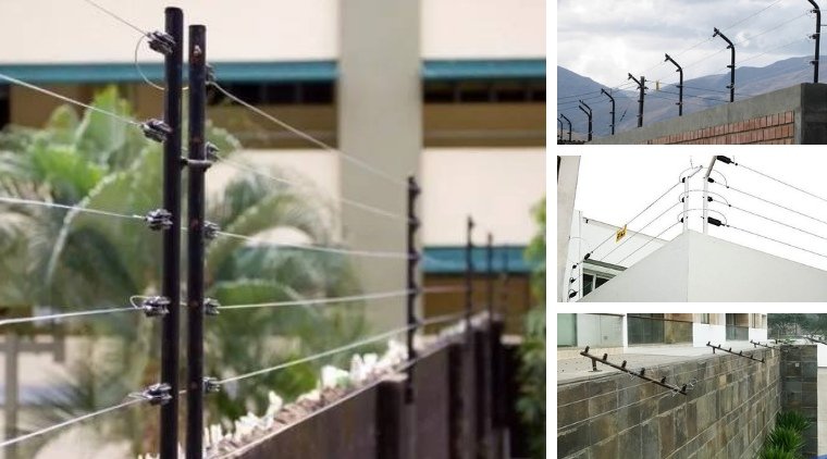Dispositivo Freedom sendo testado por pesquisadores da UFRPE nas águas de Fernando de Noronha para repelir tubarões