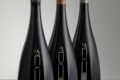 Garrafa de Champagne Mandois Victor Blanc de Blancs 2013 com taça e vinhedos antigos ao fundo