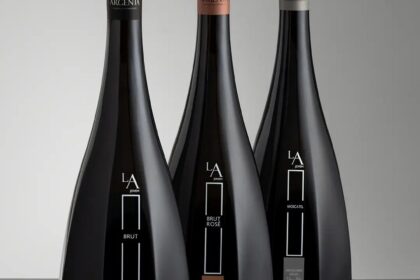 Garrafa de Champagne Mandois Victor Blanc de Blancs 2013 com taça e vinhedos antigos ao fundo
