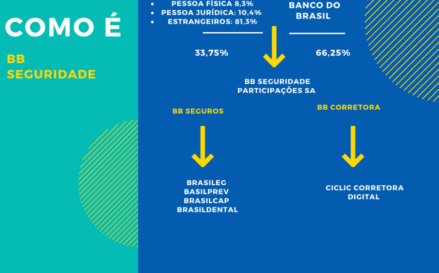 Conselheira Maria Carolina Lacerda em reunião do conselho da BB Seguridade, governança corporativa