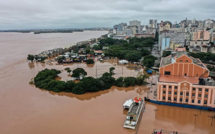 Plantação de tomates alagada por chuva excessiva no Rio Grande do Sul
