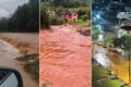 Canteiros alagados de hortaliças no Rio Grande do Sul com lama e plantas destruídas pela chuva excessiva