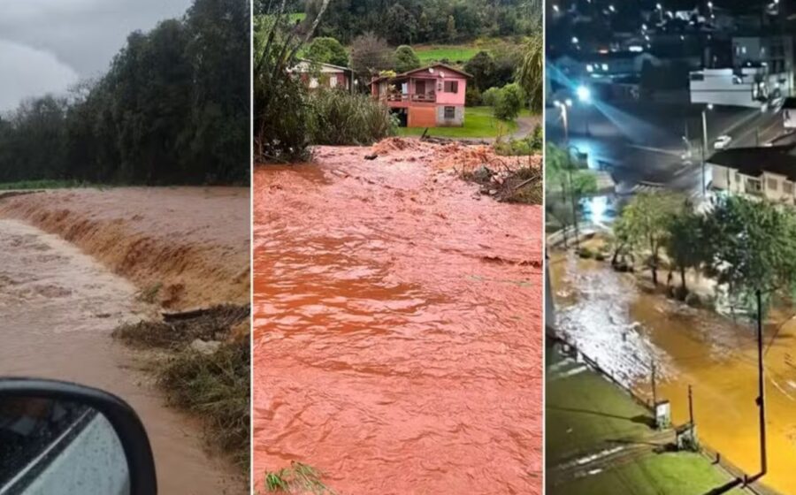 Canteiros alagados de hortaliças no Rio Grande do Sul com lama e plantas destruídas pela chuva excessiva
