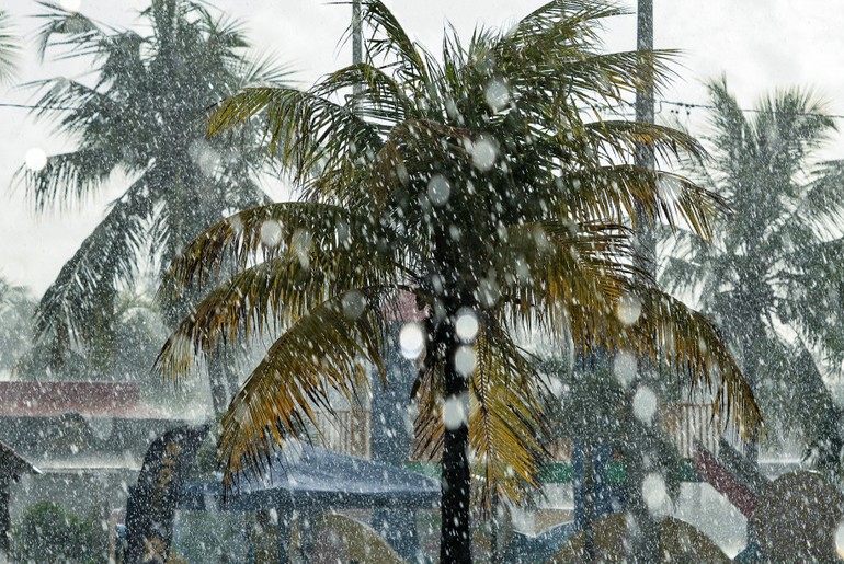 Eleitores enfrentam fila sob chuva forte em seção eleitoral durante votação estendida pelo TSE