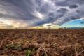 Chuva intensa sobre lavouras de soja na região do Matopiba, fronteira agrícola do Brasil