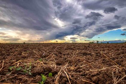 Chuva intensa sobre lavouras de soja na região do Matopiba, fronteira agrícola do Brasil