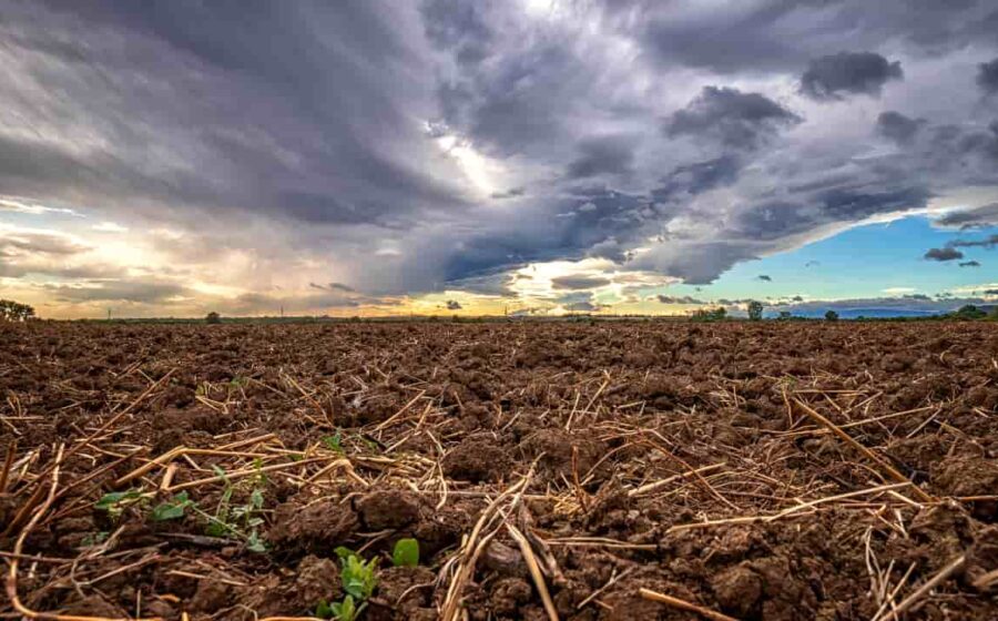 Chuva intensa sobre lavouras de soja na região do Matopiba, fronteira agrícola do Brasil