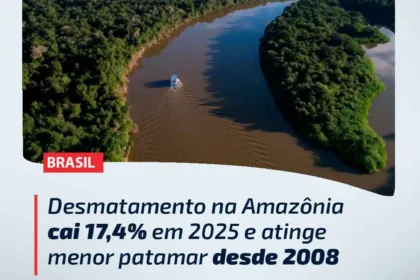 Vista aérea da Amazônia mostrando floresta preservada e áreas desmatadas em unidades de conservação