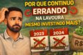 Lavoura de milho destruída por aplicação errada de herbicida em vez de fungicida em Mineiros GO