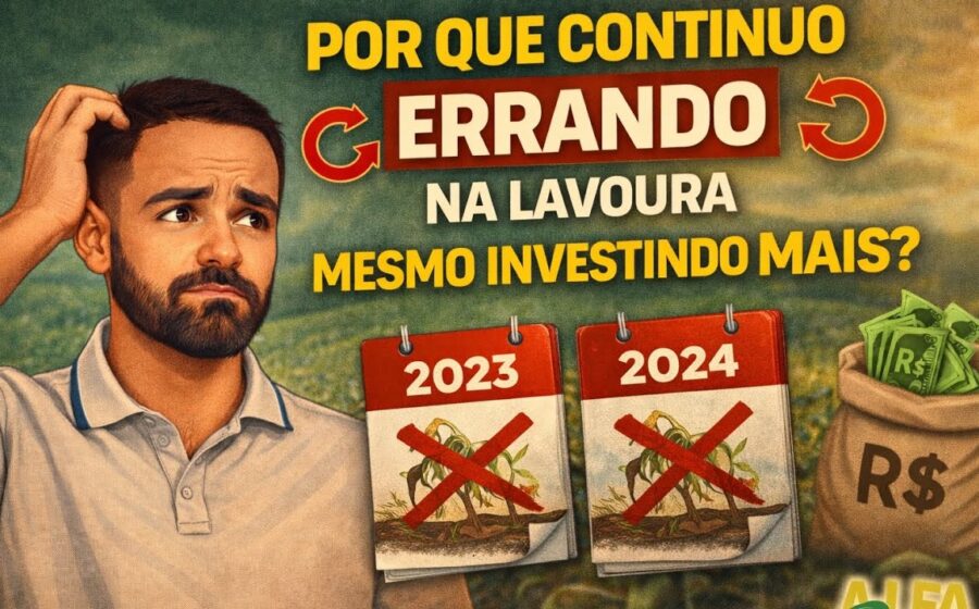 Lavoura de milho destruída por aplicação errada de herbicida em vez de fungicida em Mineiros GO