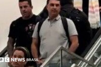 Flávio Bolsonaro em foto oficial de senador, trajando terno escuro e gravata azul