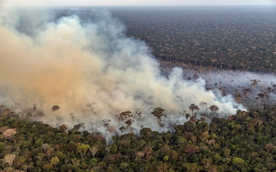 Equipe da Força Nacional do SUS atende pacientes em base móvel na Amazônia com fumaça ao fundo