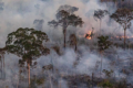Fumaça densa encobrindo a floresta amazônica no Amazonas, impactando turismo local