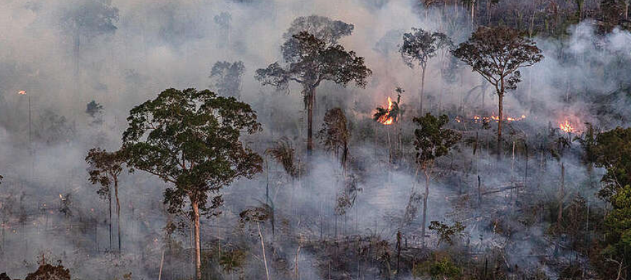 Fumaça densa encobrindo a floresta amazônica no Amazonas, impactando turismo local