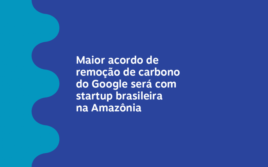 Sistema silvipastoril na Amazônia com gado pastando entre árvores nativas e comerciais