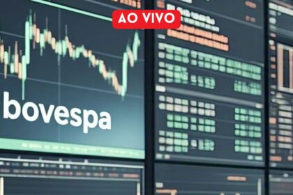 Gráfico do Ibovespa mostrando alta histórica acima de 206 mil pontos com valorização semanal de 6%