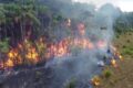 Incêndio de grandes proporções em serraria na Ilha do Marajó à noite com chamas altas e fumaça densa