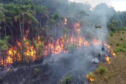 Incêndio de grandes proporções em serraria na Ilha do Marajó à noite com chamas altas e fumaça densa