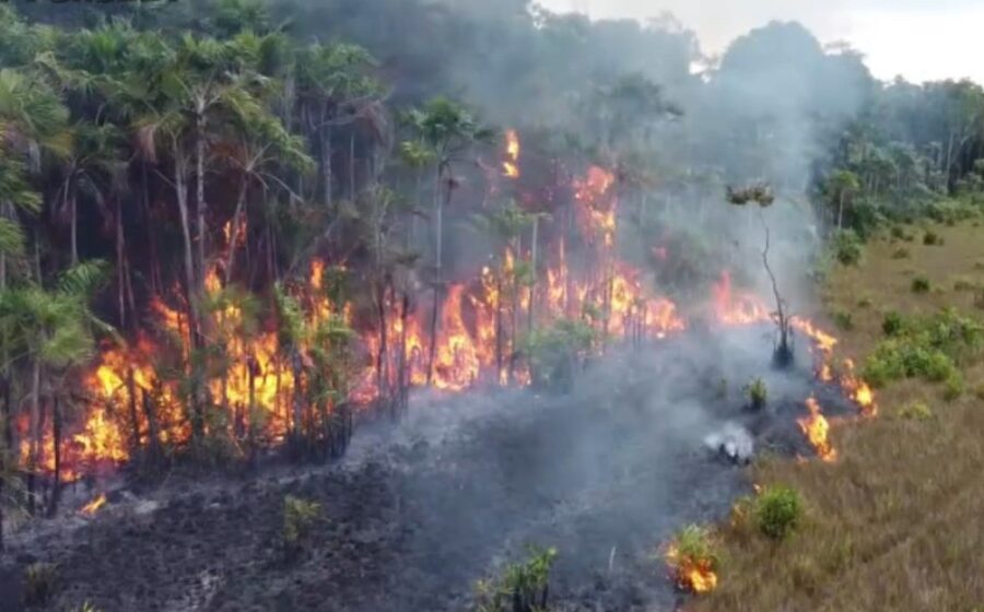 Incêndio de grandes proporções em serraria na Ilha do Marajó à noite com chamas altas e fumaça densa