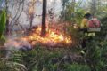 Brigadistas combatem incêndio florestal na Amazônia paraense com apoio aéreo