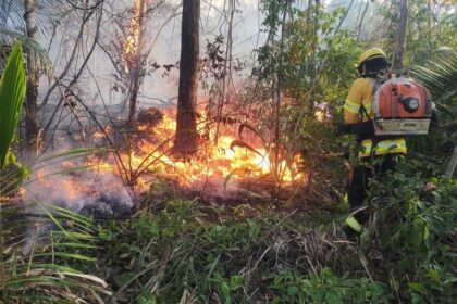 Brigadistas combatem incêndio florestal na Amazônia paraense com apoio aéreo