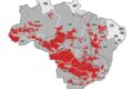 Brasil dividido ao meio: eleitores comemoram e choram sob céu tempestuoso, simbolizando polarização extrema pós-eleição