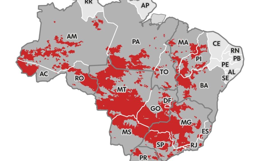 Brasil dividido ao meio: eleitores comemoram e choram sob céu tempestuoso, simbolizando polarização extrema pós-eleição