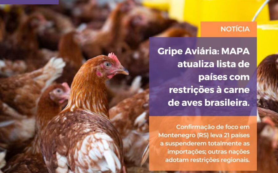 Mapa do Brasil destaca Santa Catarina com embargo mexicano à carne de ave, demais estados em verde