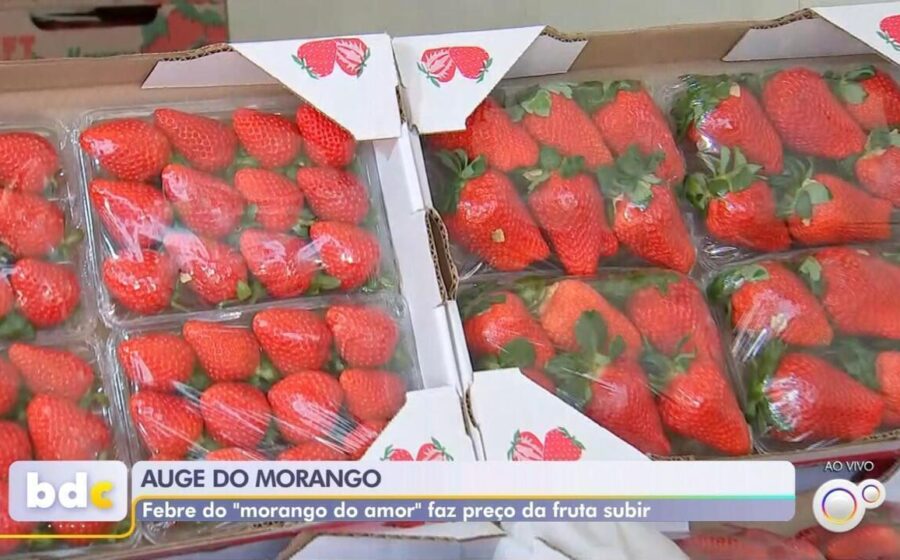 Morango cravejado viral a R$ 40 sobre mesa, refletindo alta demanda e safra perdida por chuvas excessivas