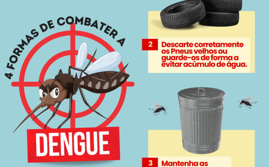 Mosquito Aedes aegypti com bactéria Wolbachia sendo liberado por pesquisador no Ceará