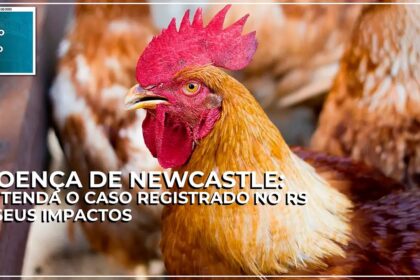 Granja de perus em Nova Itaberaba SC com equipe de vigilância sanitária
