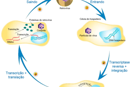 Novartis e Abogen Biosciences anunciam parceria de US$ 7,75 bi para mRNA em doenças autoimunes