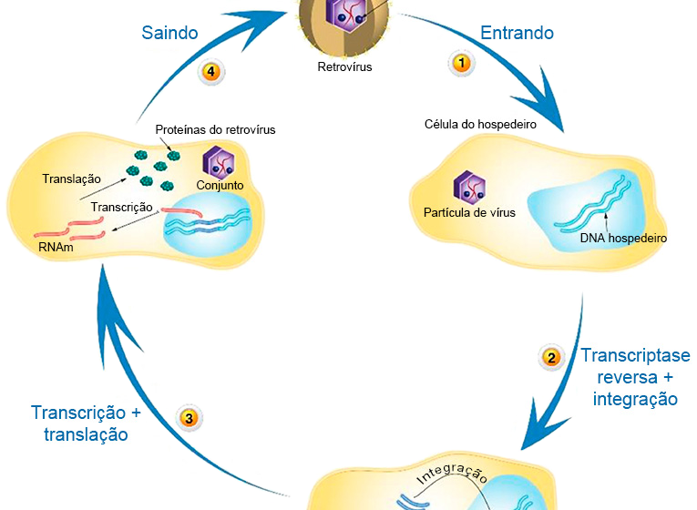 Novartis e Abogen Biosciences anunciam parceria de US$ 7,75 bi para mRNA em doenças autoimunes