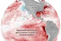 Mapa global de anomalia de temperatura do Pacífico mostrando El Niño intenso em tons vermelhos