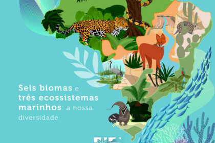 Gráfico mostra lacuna de financiamento de US$ 500 bilhões para metas de biodiversidade 2030 na COP17
