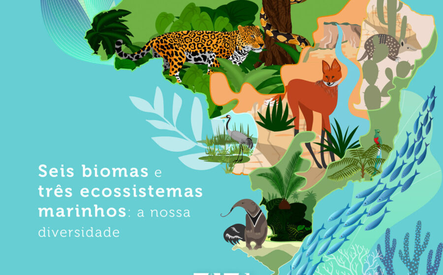 Gráfico mostra lacuna de financiamento de US$ 500 bilhões para metas de biodiversidade 2030 na COP17