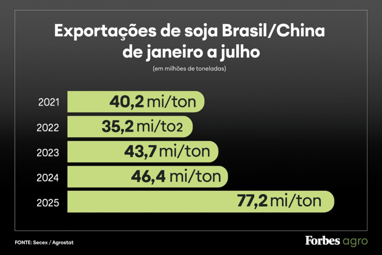 Grãos de soja em primeiro plano com silos e navio cargueiro ao fundo, simbolizando exportação Brasil-China