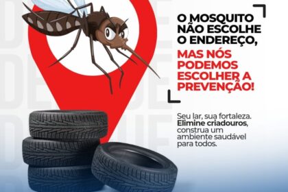 Mosquitos Aedes aegypti com Wolbachia sendo liberados por técnicos em laboratório no Ceará