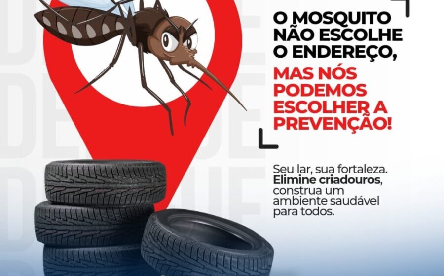 Mosquitos Aedes aegypti com Wolbachia sendo liberados por técnicos em laboratório no Ceará