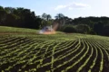 Brasil, maior exportador global de soja, enfrenta nacionalismo proteico: mapa com rotas comerciais e símbolos de segurança alimentar