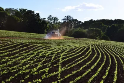 Brasil, maior exportador global de soja, enfrenta nacionalismo proteico: mapa com rotas comerciais e símbolos de segurança alimentar