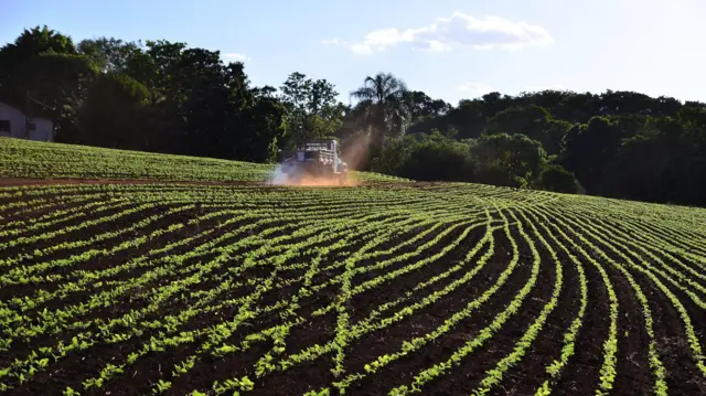 Brasil, maior exportador global de soja, enfrenta nacionalismo proteico: mapa com rotas comerciais e símbolos de segurança alimentar
