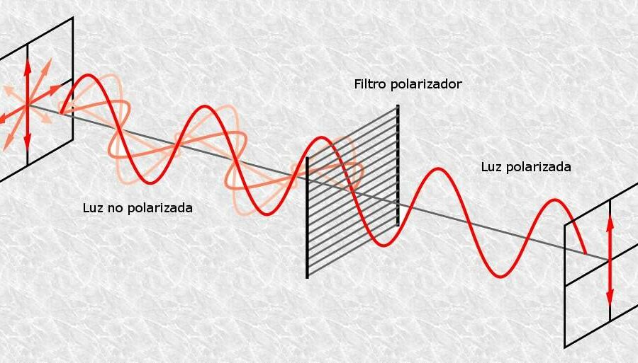 Ilustração de Brasil dividido ao meio com pessoas em lados opostos e ruínas romanas ao fundo, simbolizando polarização política
