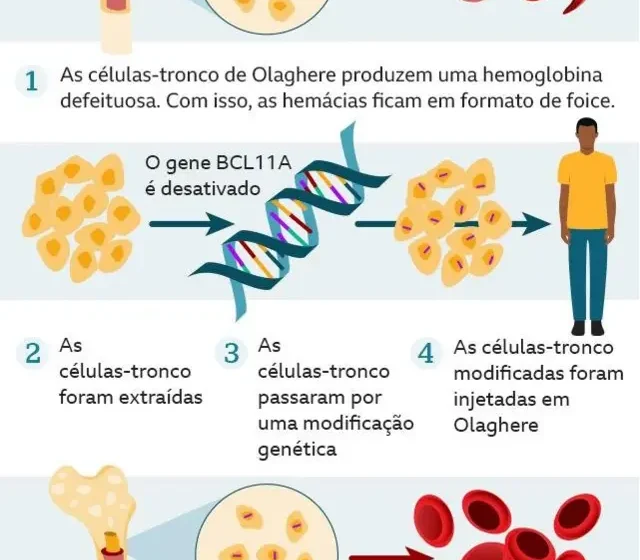 Ilustração científica da proteína BACH2 regulando produção de hemoglobina fetal no DNA