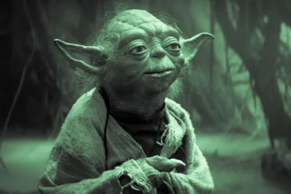 Cão de serviço Yoda auxiliando John Polanski, advogado autista recém-formado, durante cerimônia de colação de grau
