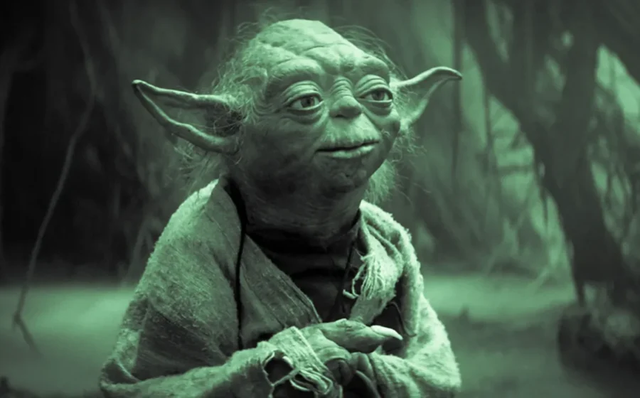 Cão de serviço Yoda auxiliando John Polanski, advogado autista recém-formado, durante cerimônia de colação de grau