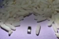 Microlivro Shiki no Kusabana da Toppan Printing, menor que grão de arroz, recorde Guinness 2013 de microimpressão