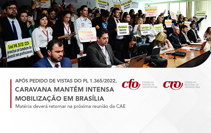 Eleitores brasileiros em fila para votar no segundo turno de 2022, com bandeira do Brasil ao fundo