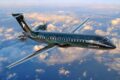 Design biomimético: asa de avião inspirada em penas e trem-bala baseado em bico de martim-pescador